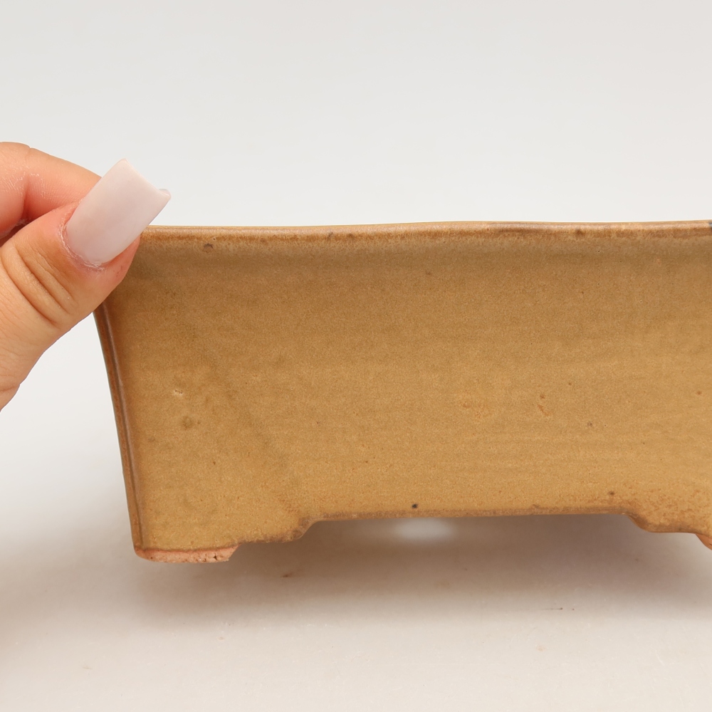 Bonsaischale aus Keramik 18 x 14 x 7 cm, Farbe beige