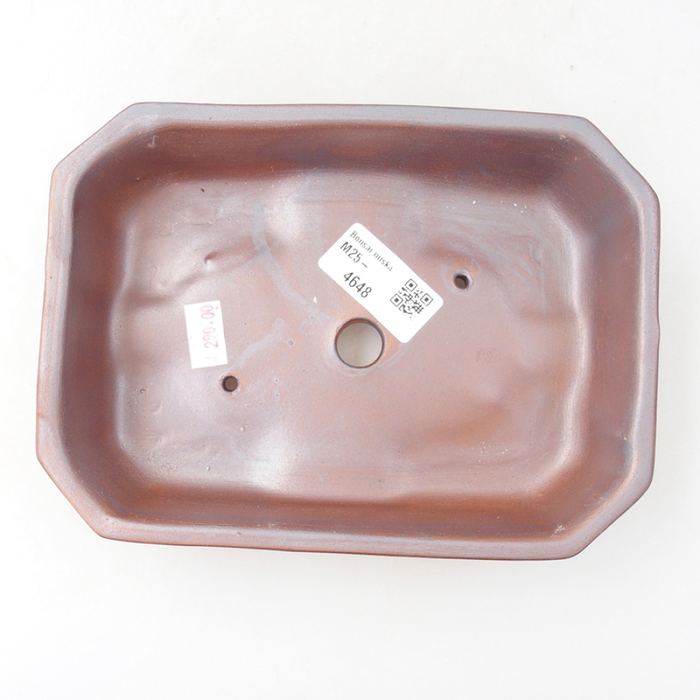 Keramik-Bonsaischale 19 x 13,5 x 4 cm, Farbe braun