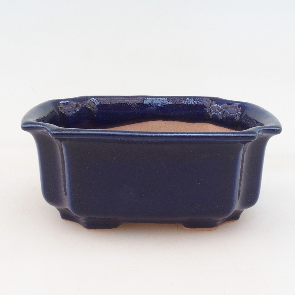 Bonsaischale + Schale H01 – blau