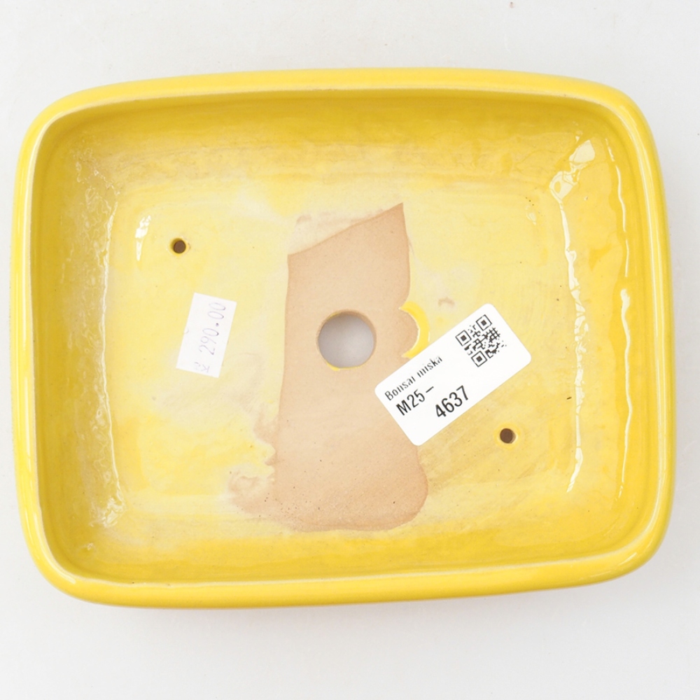 Keramik-Bonsaischale 17 x 13,5 x 3,5 cm, Farbe gelb