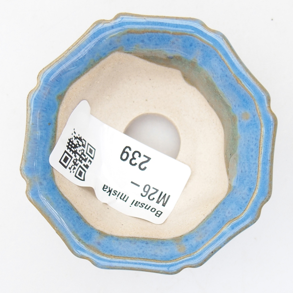 Mini-Bonsaischale 6 x 6 x 2,5 cm, Farbe blau