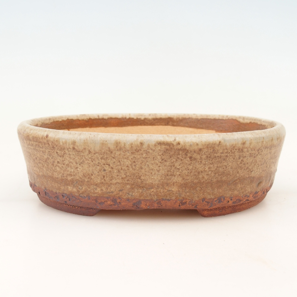 Bonsaischale 19 x 15,5 x 5,5 cm , Farbe beige