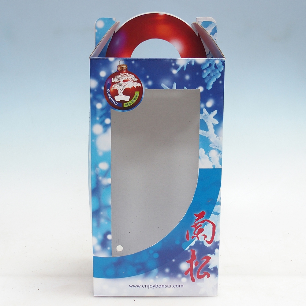 Geschenk-Bonsai-Box - Papier