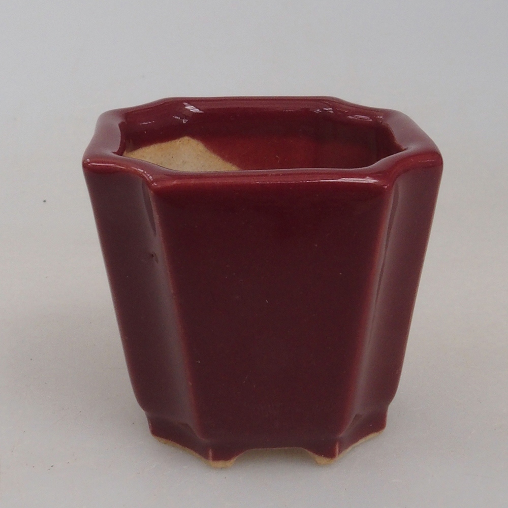 Mini-Bonsaischale 4 x 4 x 3,5 cm, Farbe Burgunder