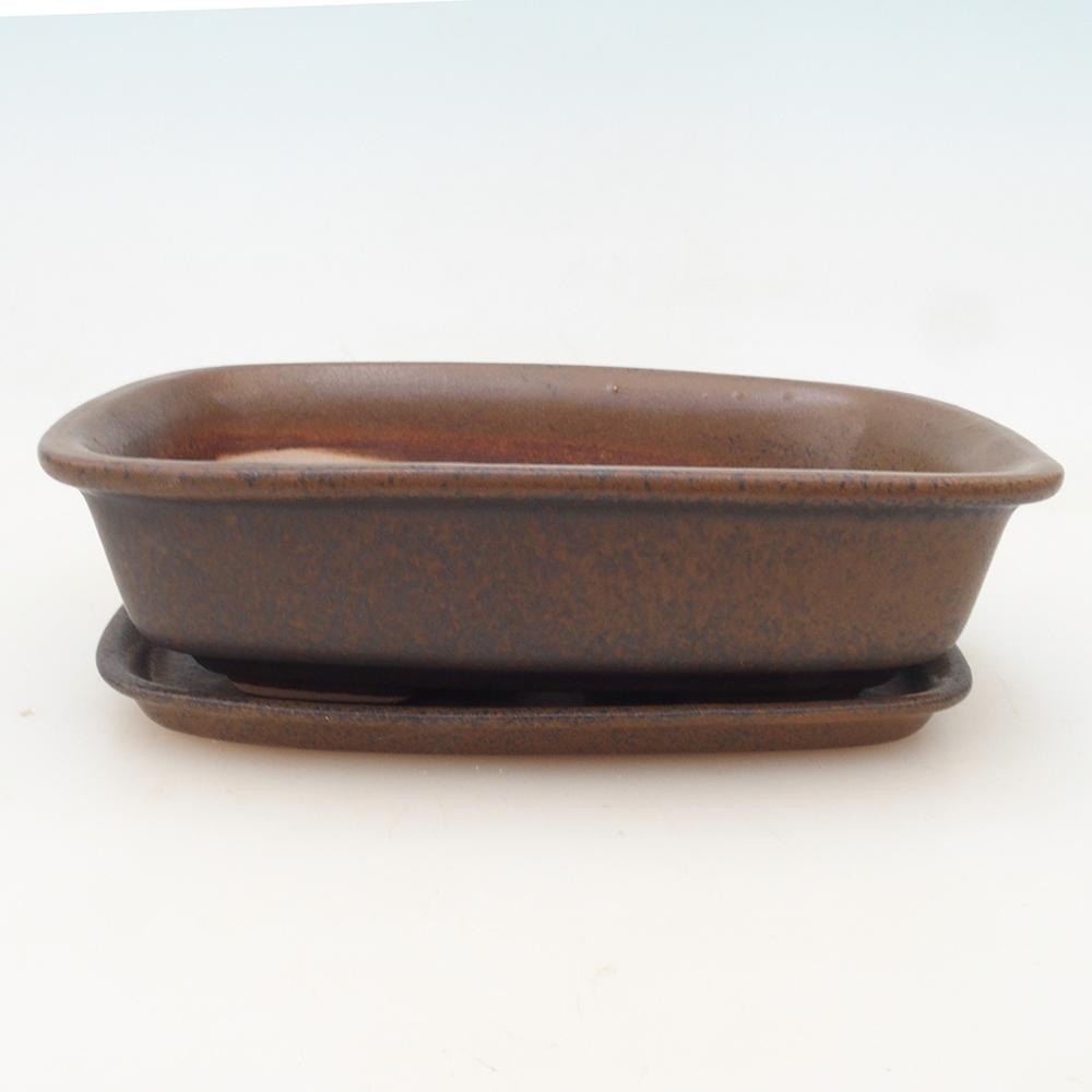 Bonsai-Schale + Untertasse H02 – Braun