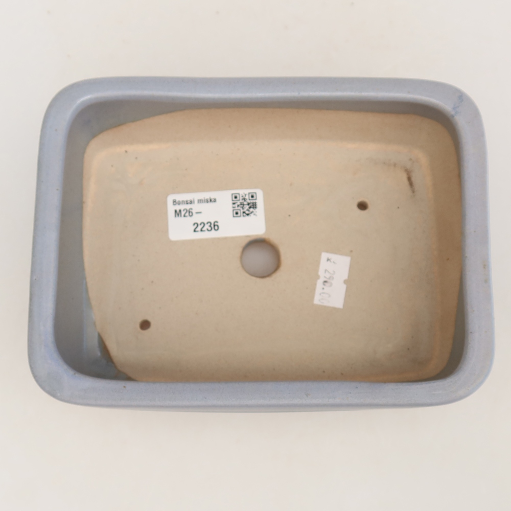 Keramik-Bonsai-Schale, 17 x 12,5 x 5,5 cm, Farbe: Blau