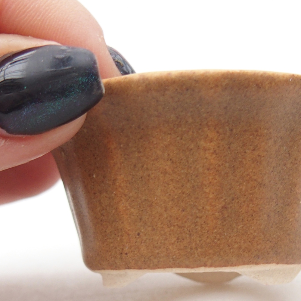 Mini-Bonsaischale 5,5 x 5,5 x 3 cm, braun