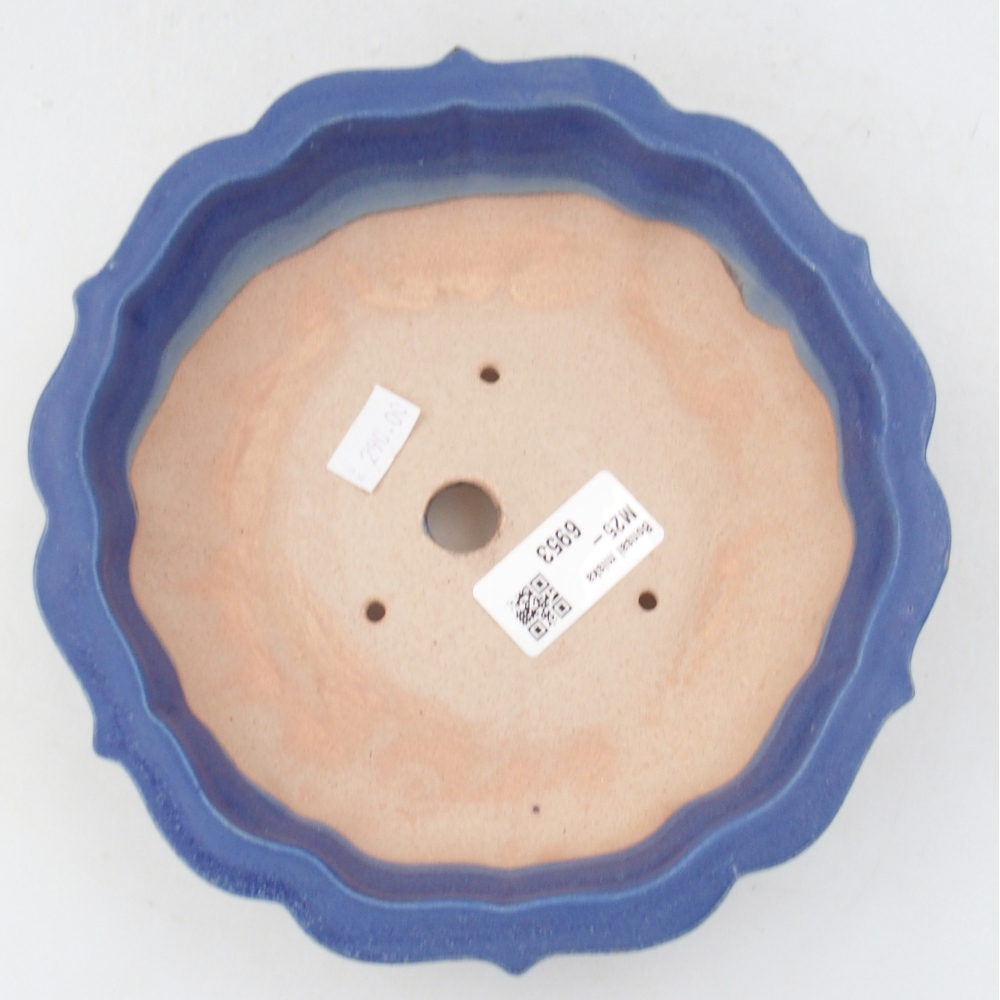 Bonsaischale aus Keramik 19 x 19 x 5 cm, Farbe blau