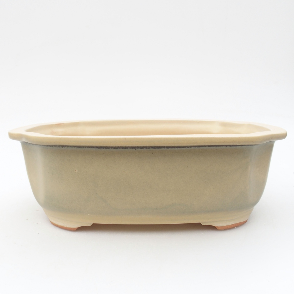 Keramik-Bonsaischale 22,5 x 17,5 x 7,5 cm, Farbe beige