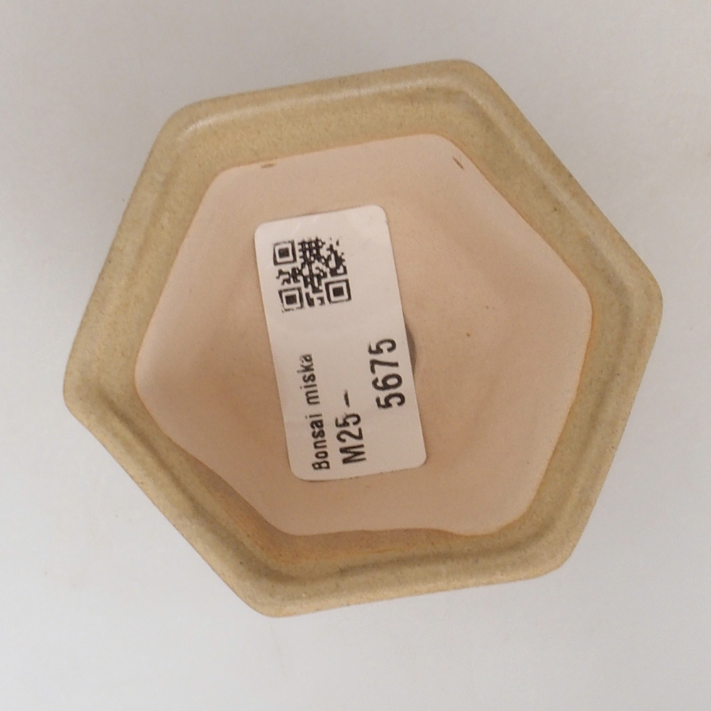 Mini-Bonsaischale 7 x 7 x 5  cm, Farbe braun