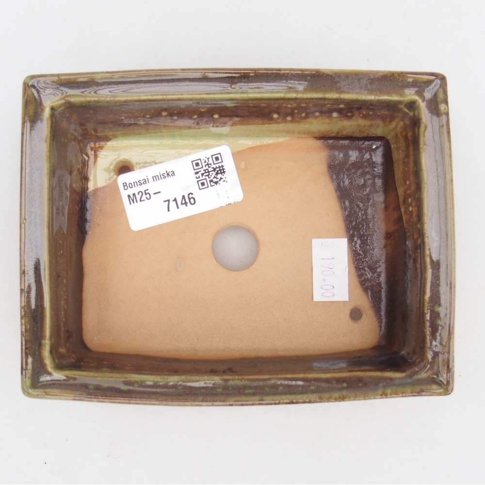 Bonsaischale aus Keramik 13 x 10 x 4 cm, grün
