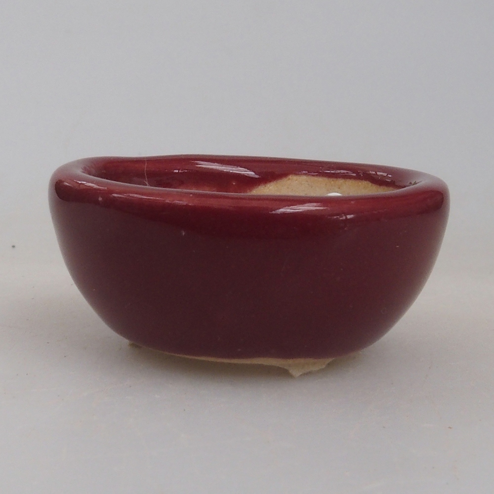 Mini-Bonsaischale 3,5 x 3,5 x 1,5  cm, Farbe Burgunder