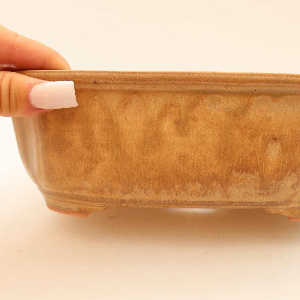 Bonsaischale aus Keramik 22,5 x 17,5 x 7,5 cm, Farbe beige