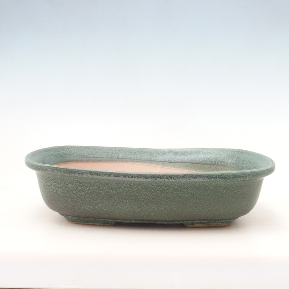 Bonsai-Schale H10 - 37 x 28 x 9 cm - grün