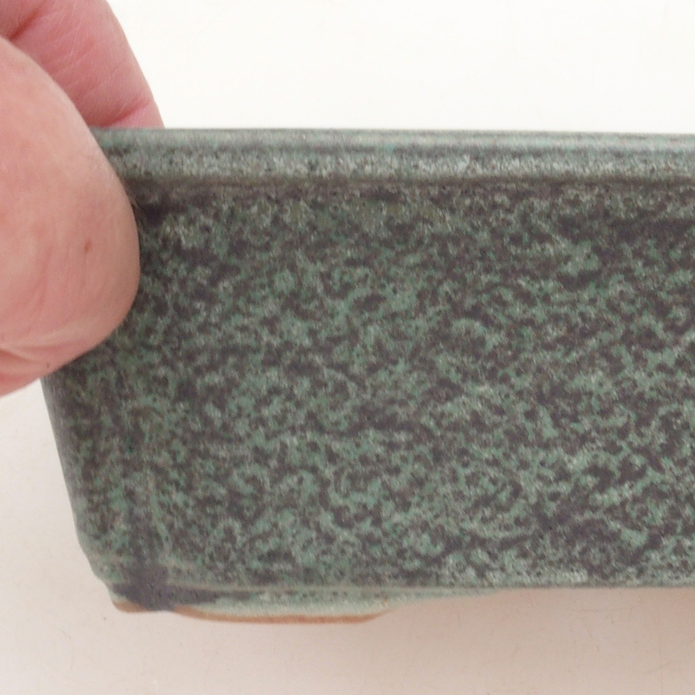 Bonsai-Untertasse H50 – 17 x 12,5 x 5,5 cm – grün
