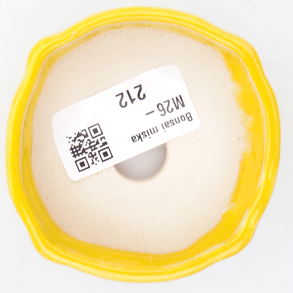 Mini-Bonsaischale 6,5 x 6,5 x 2,5 cm, gelb