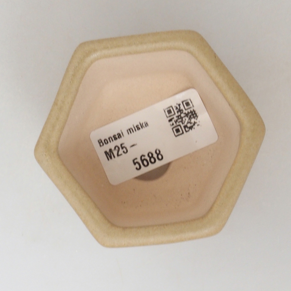 Mini-Bonsaischale 6,5 x 6 x 4  cm, Farbe braun