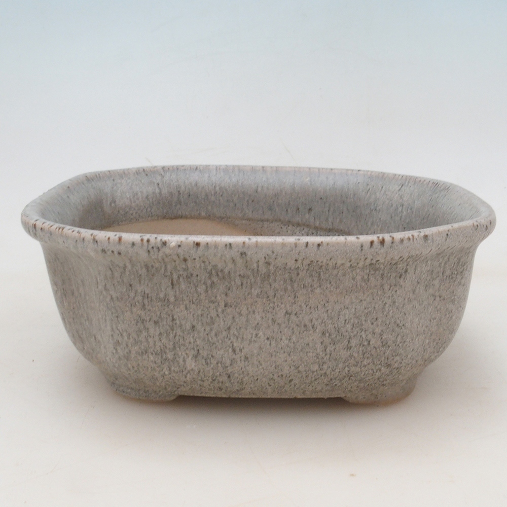 Bonsai-Schale + Untertasse H32 – Beige