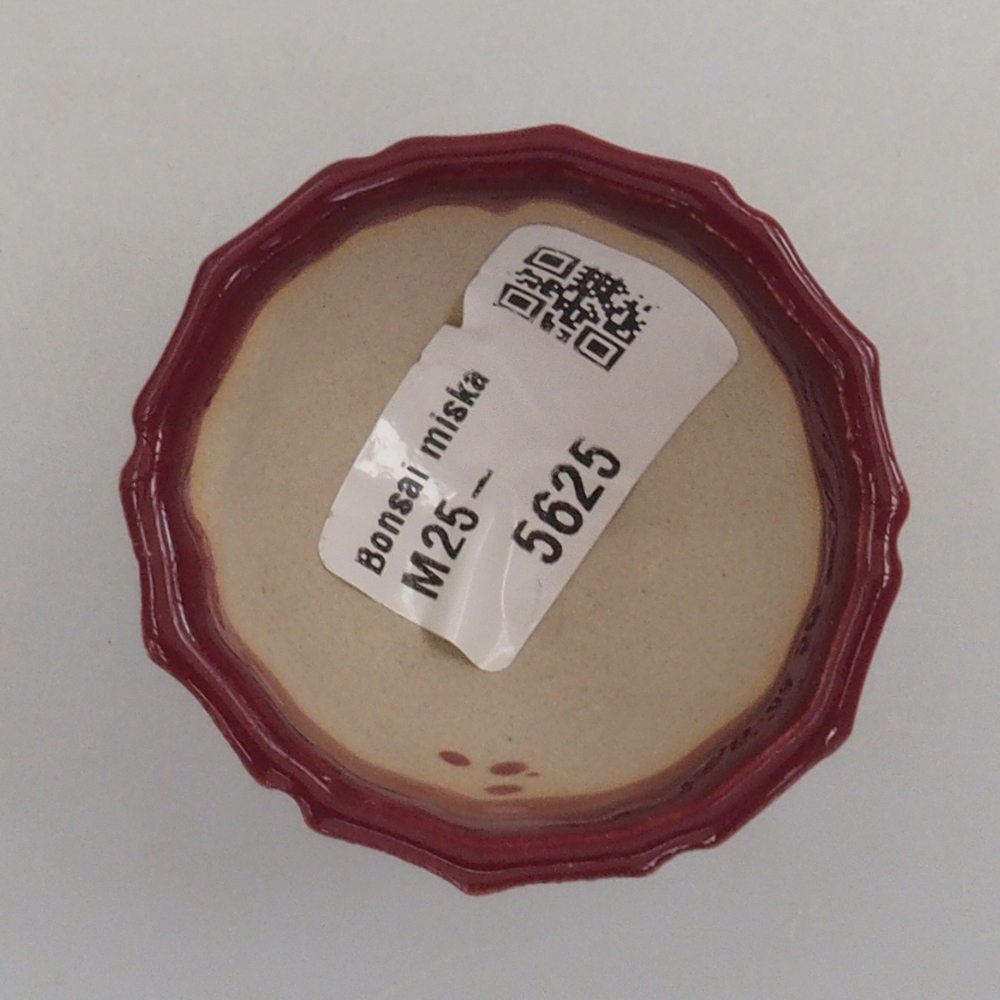 Mini-Bonsaischale 5 x 5 x 3 cm, Farbe Burgunder
