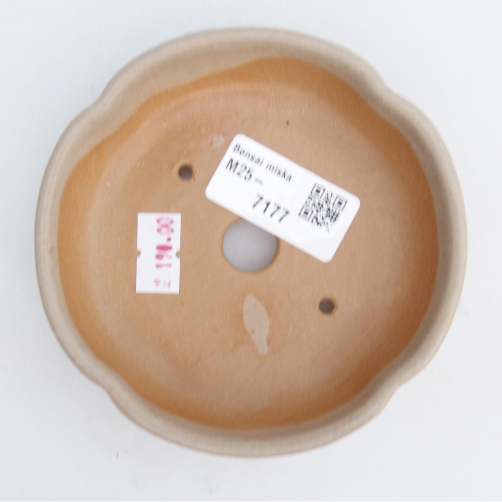 Bonsaischale aus Keramik 11 x 11 x 3 cm, Farbe beige