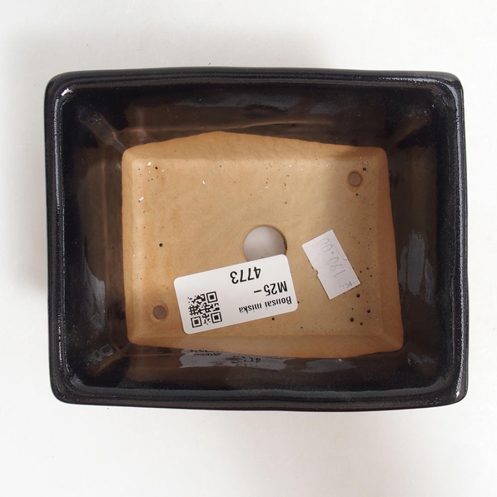 Keramik-Bonsaischale 11,5 x 10,5 x 6 cm, Farbe Schwarz