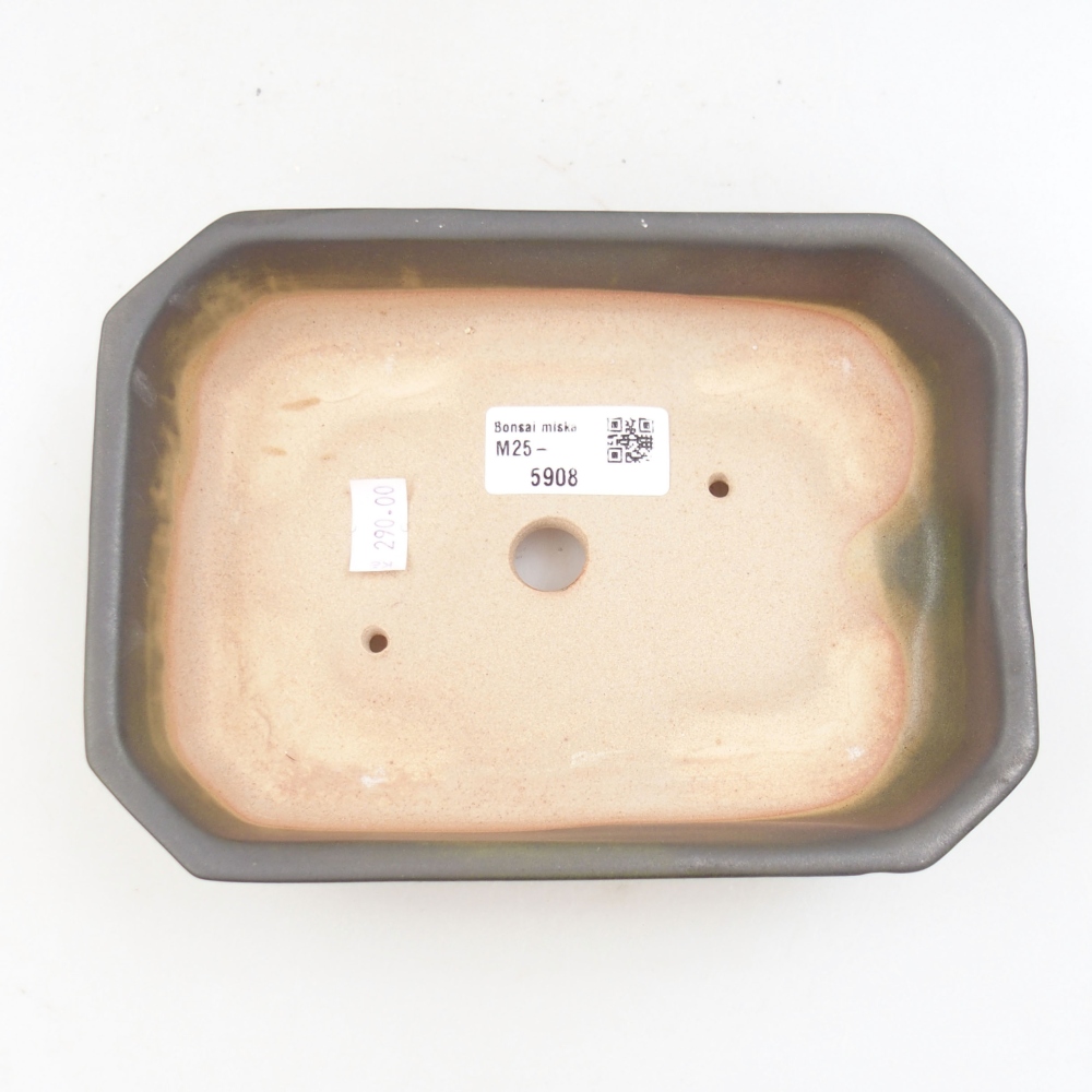 Keramik-Bonsaischale 19 x 13,5 x 4,5 cm, Farbe grau