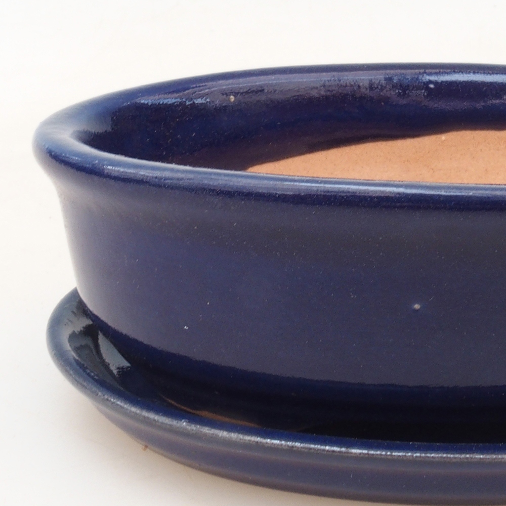 Bonsai-Schale + Untertasse H04 – Blau