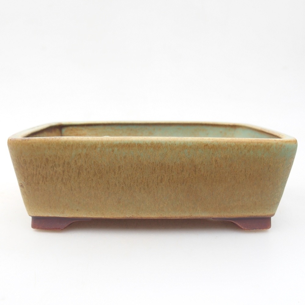 Bonsaischale aus Keramik 15 x 12 x 5 cm, grün