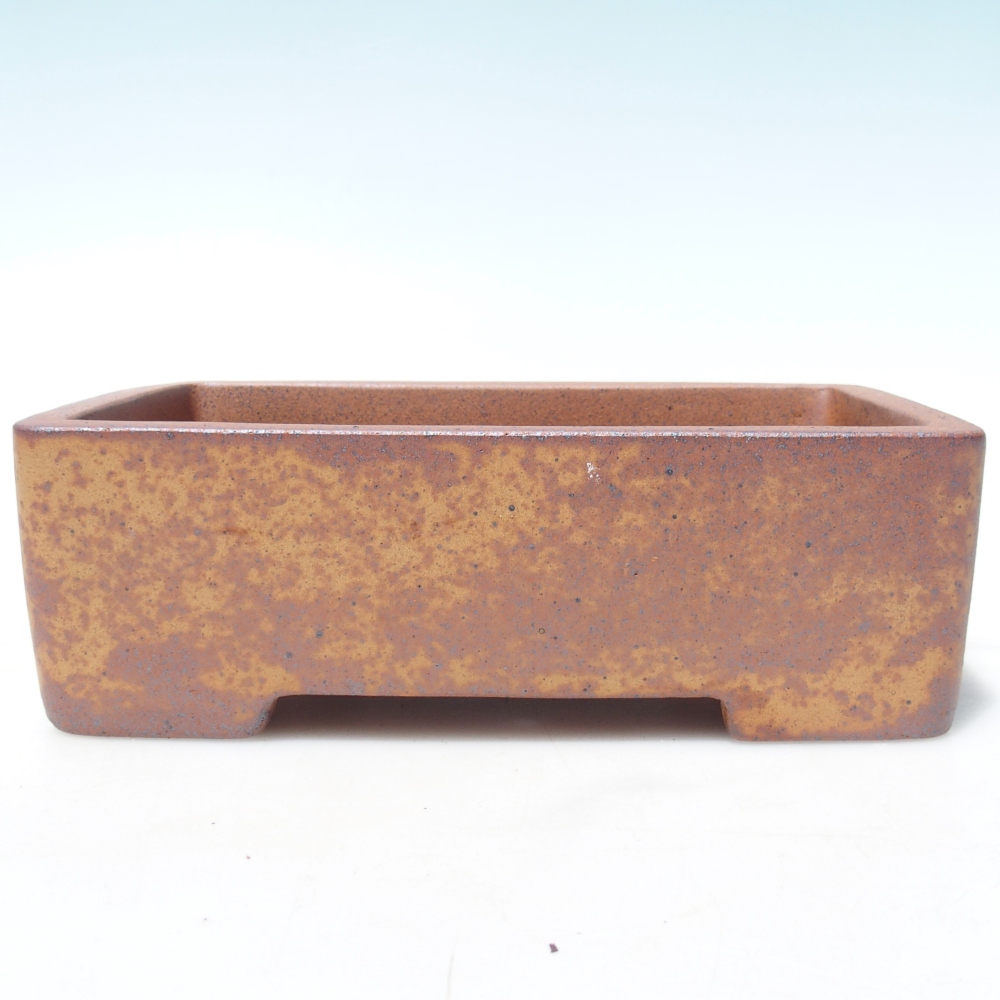 Schale 23,5 x 14 x 7,5 cm braun