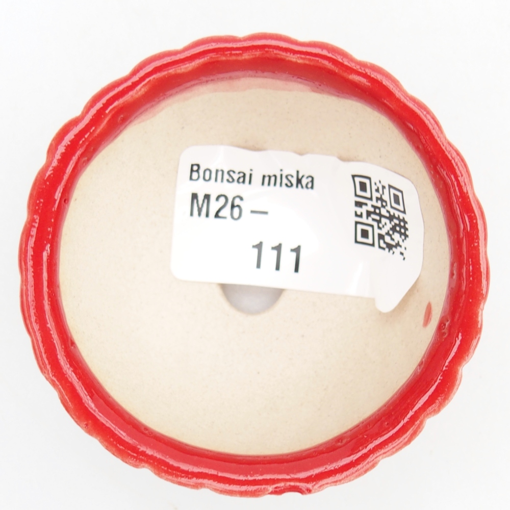 Mini-Bonsaischale 5,5 x 5,5 x 2,5 cm, Farbe rot