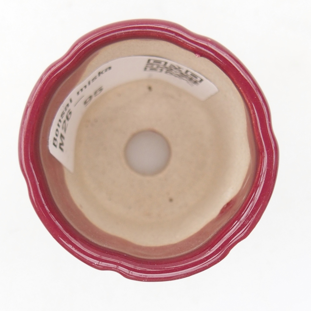 Mini-Bonsaischale 4 x 4 x 4,5 cm, bordeauxrot