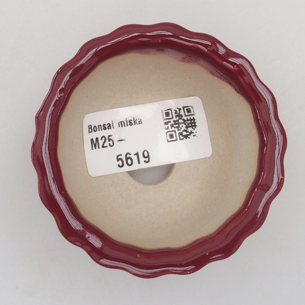 Mini-Bonsaischale 6,5 x 6,5 x 3,5 cm, Farbe Burgunder