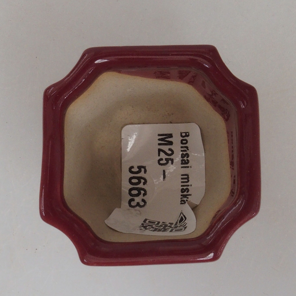 Mini-Bonsaischale 4 x 4 x 3,5 cm, Farbe Burgunder