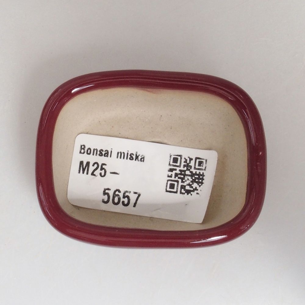 Mini-Bonsaischale 5,5 x 4,5 x 2 cm, Farbe Burgunder