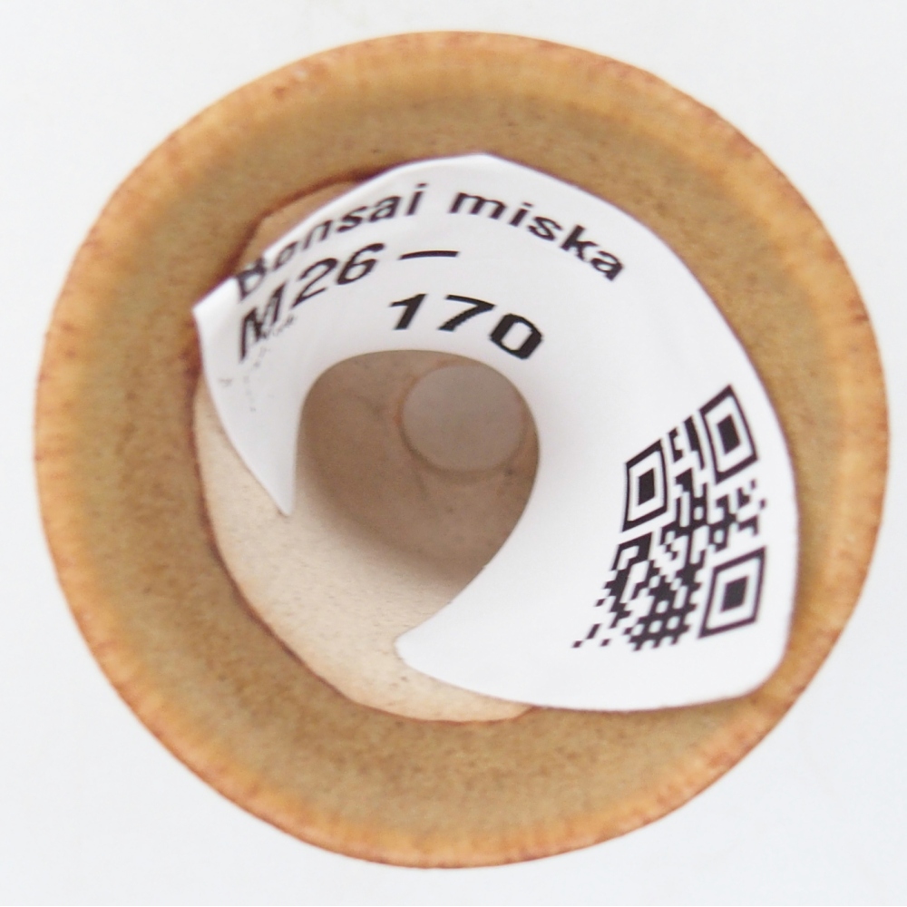 Mini-Bonsaischale 3 x 3 x 3,5 cm, braun