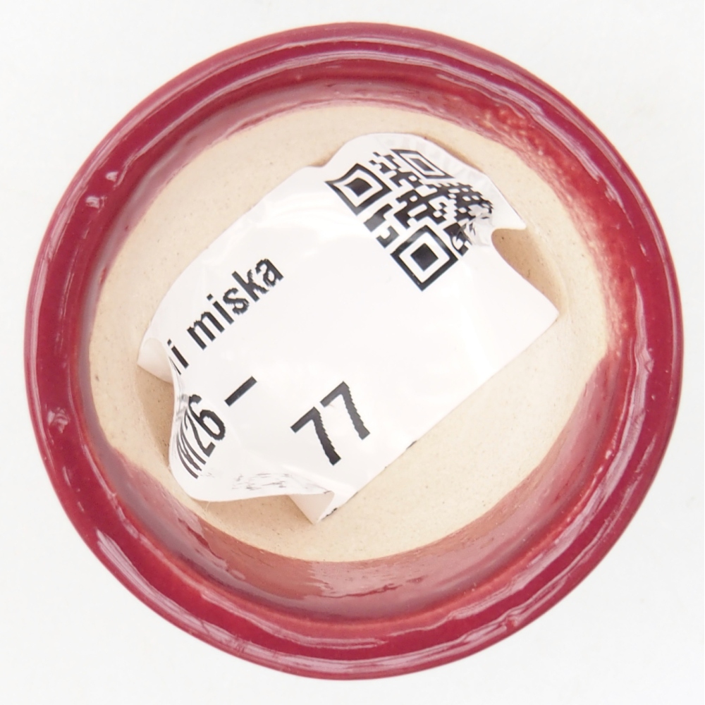 Mini-Bonsaischale 4 x 4 x 2 cm, bordeauxrot