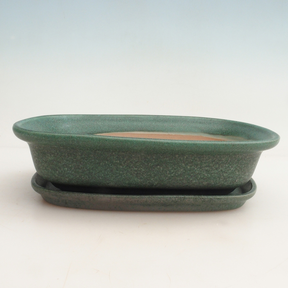 Bonsai-Schale + Untertasse H25 – 23 x 17 x 5,5 cm