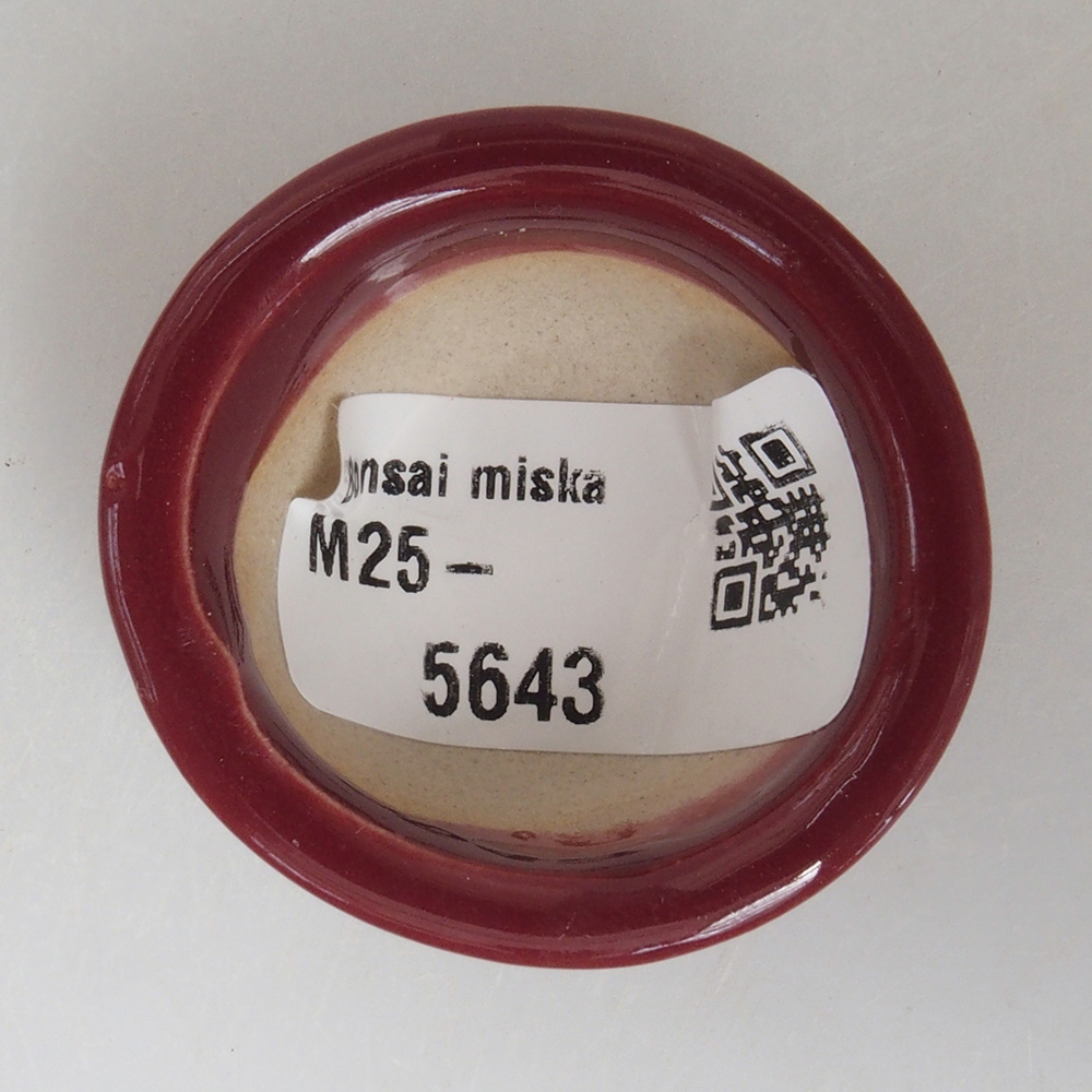 Mini-Bonsaischale 4 x 4 x 2 cm, Farbe Burgunder