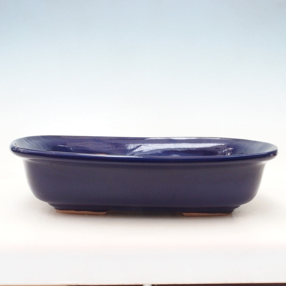 Bonsai-Schale H10 - 37 x 28 x 9 cm - blau