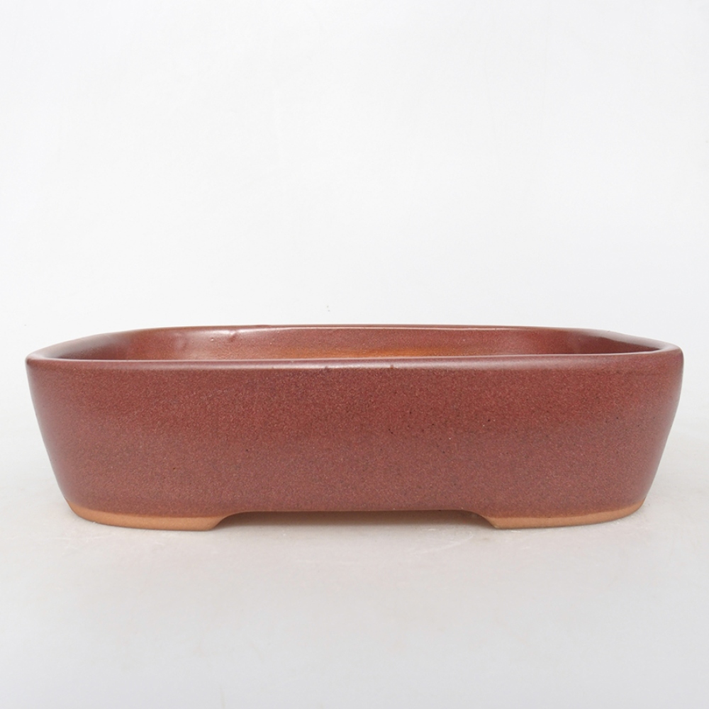 Keramik-Bonsaischale 23 x 18 x 5,5 cm, Burgund Farbe