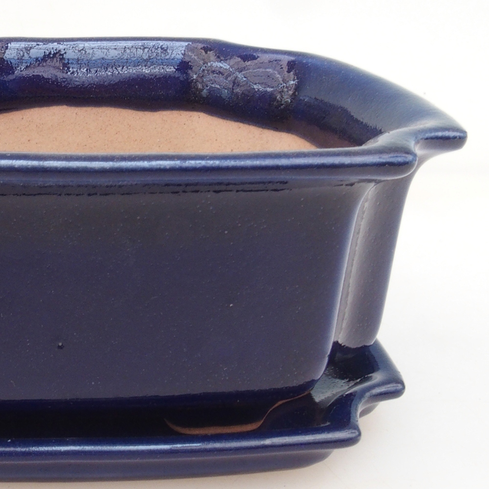 Bonsaischale + Schale H01 – blau