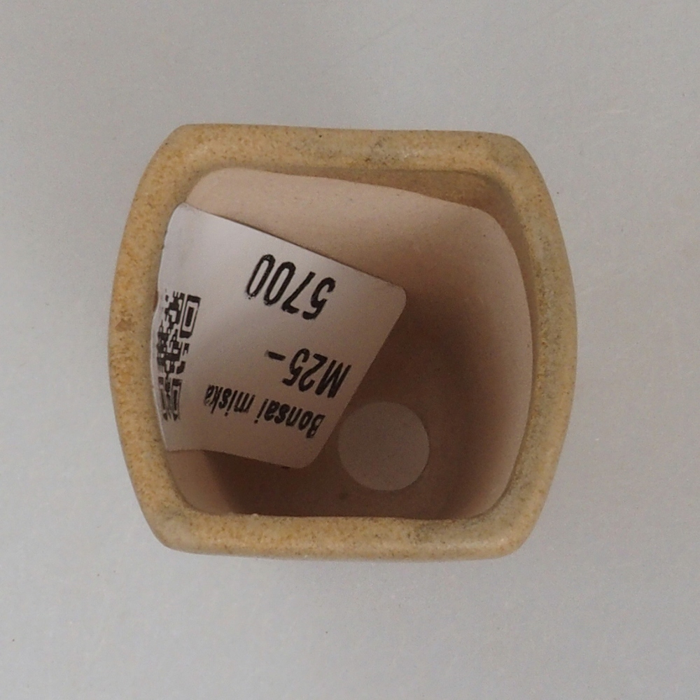 Mini-Bonsaischale 3,5 x 3 x 5  cm, Farbe braun
