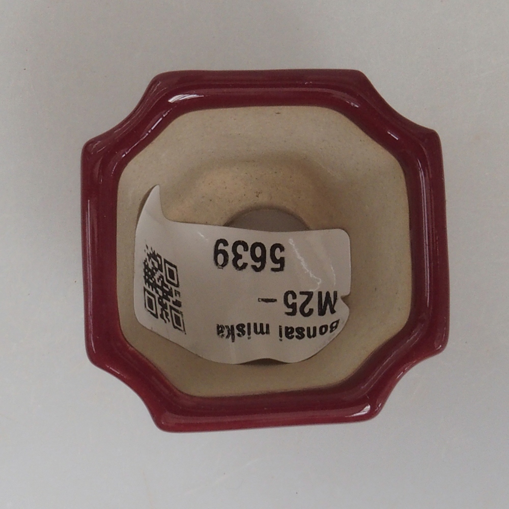 Mini-Bonsaischale 4 x 4 x 4 cm, Farbe Burgunder