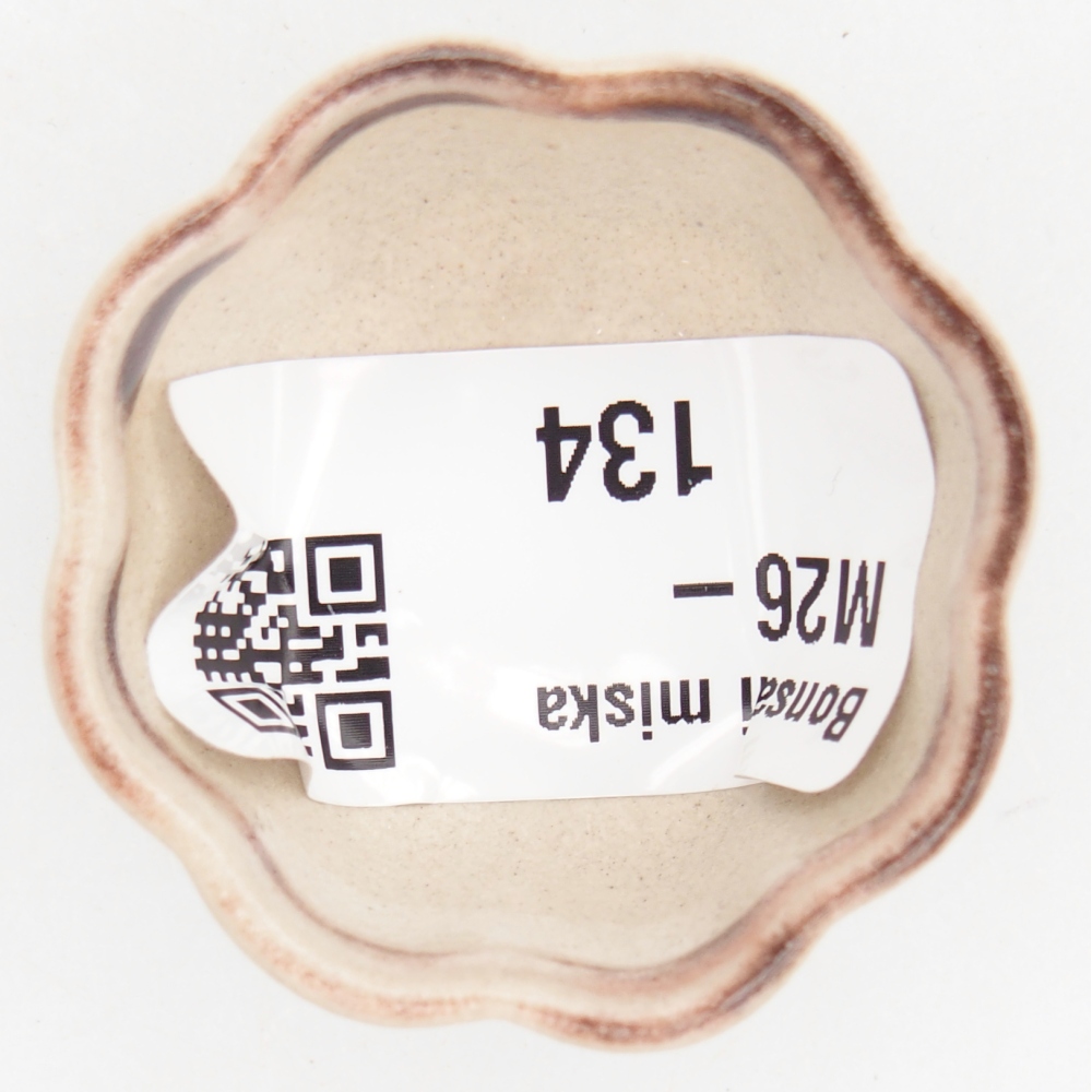 Mini-Bonsaischale 4 x 4 x 2 cm, Farbe rot