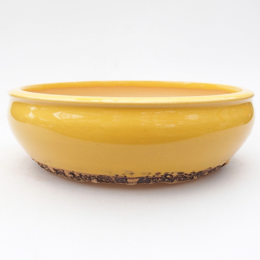 Keramik-Bonsaischale 18 x 18 x 5,5 cm, Farbe Gelb