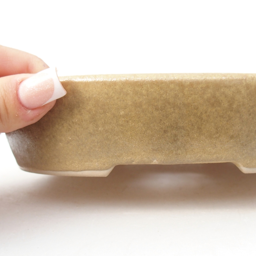Bonsaischale aus Keramik 17 x 13,5 x 4 cm, Farbe beige