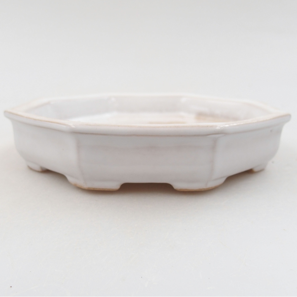 Keramik-Bonsaischale 11,5 x 11,5 x 2,5 cm, Farbe Weiß