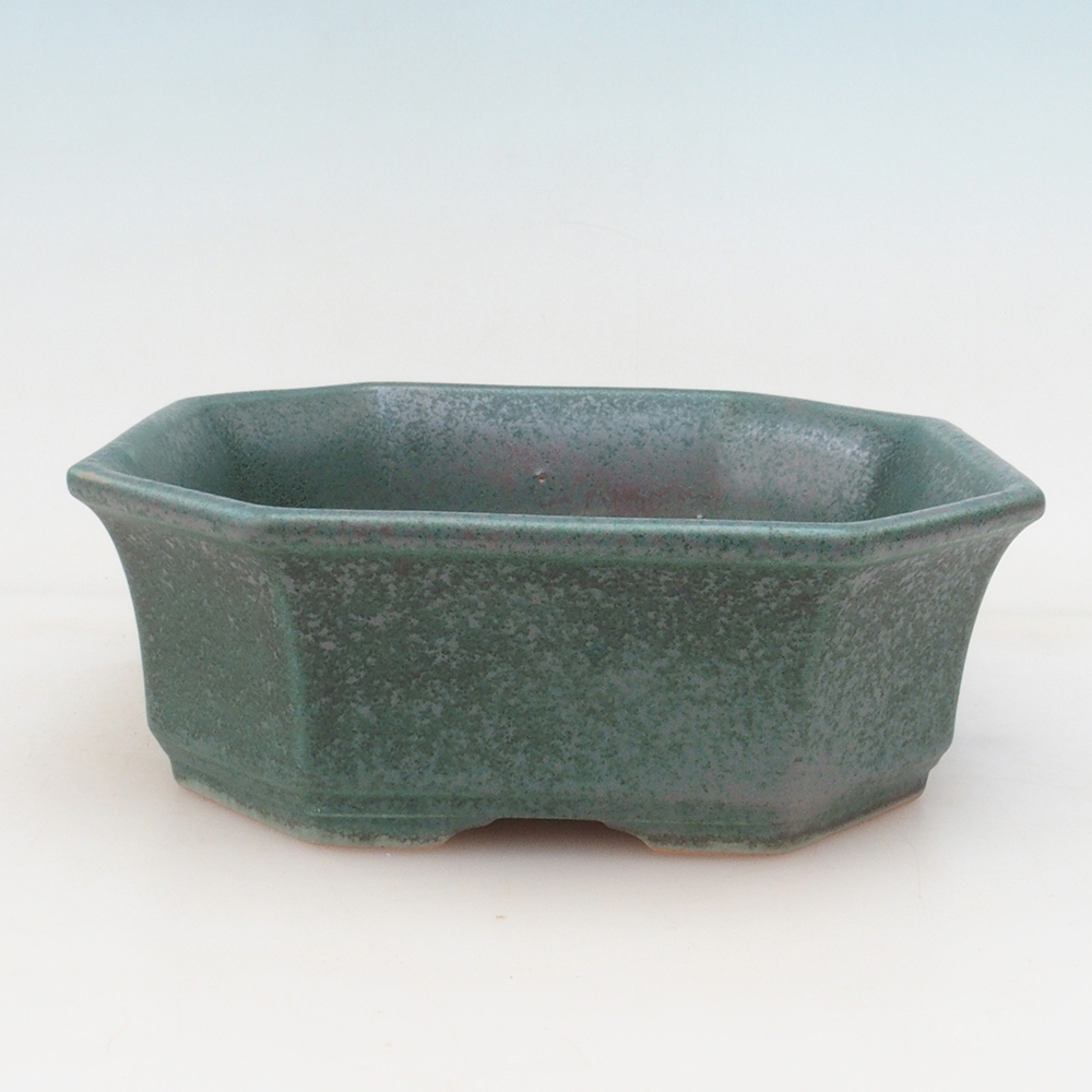 Bonsai-Schale + Schale H14 - grün