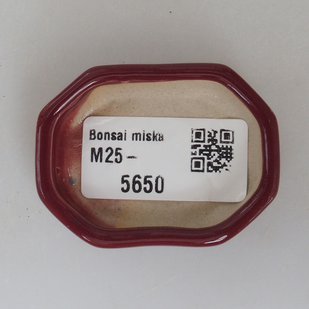 Mini-Bonsaischale 5,5 x 4 x 1,5 cm, Farbe Burgunder