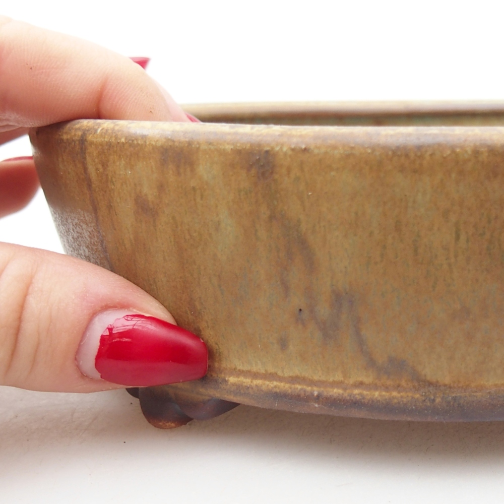 Bonsaischale aus Keramik 15,5 x 15,5 x 5 cm, grün